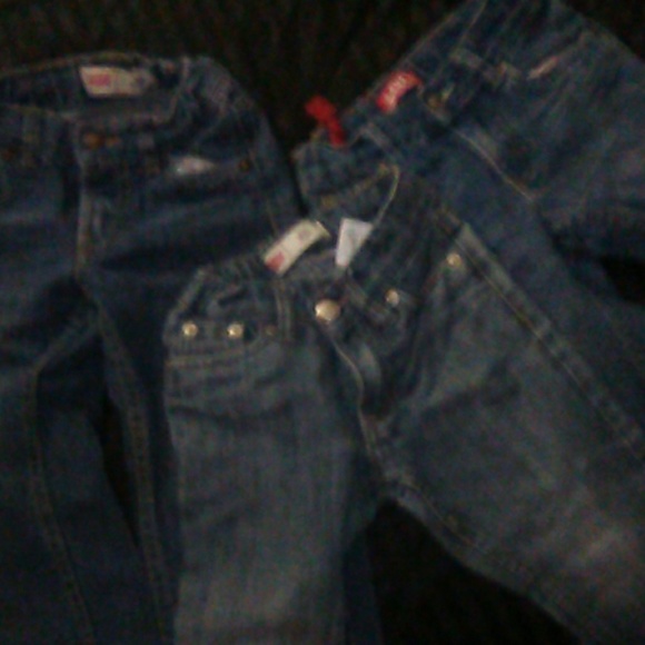 Levi bundle - Picture 3 of 3